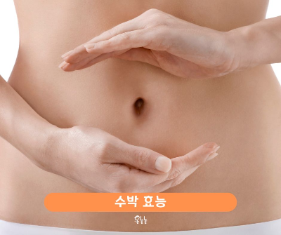 수박 효능