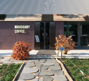 샤스타데이지 카페명소 BEST 5곳