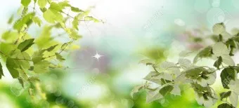 봄 이미지 일러스트 따뜻한 봄 꽃 예쁜 이미지_6