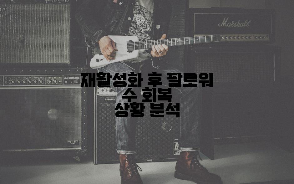 재활성화 후 팔로워 수 회복 상황 분석