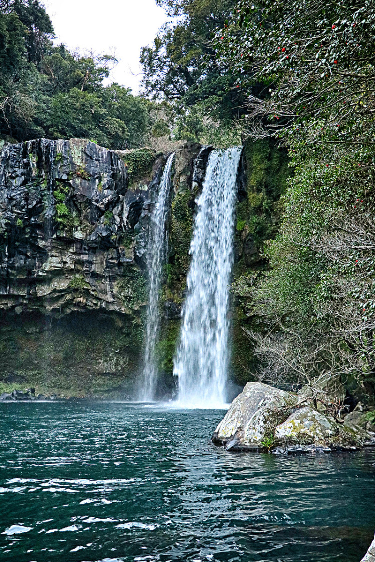 제주 노블피아호텔 주변 서귀포 가볼만한곳 BEST 10 