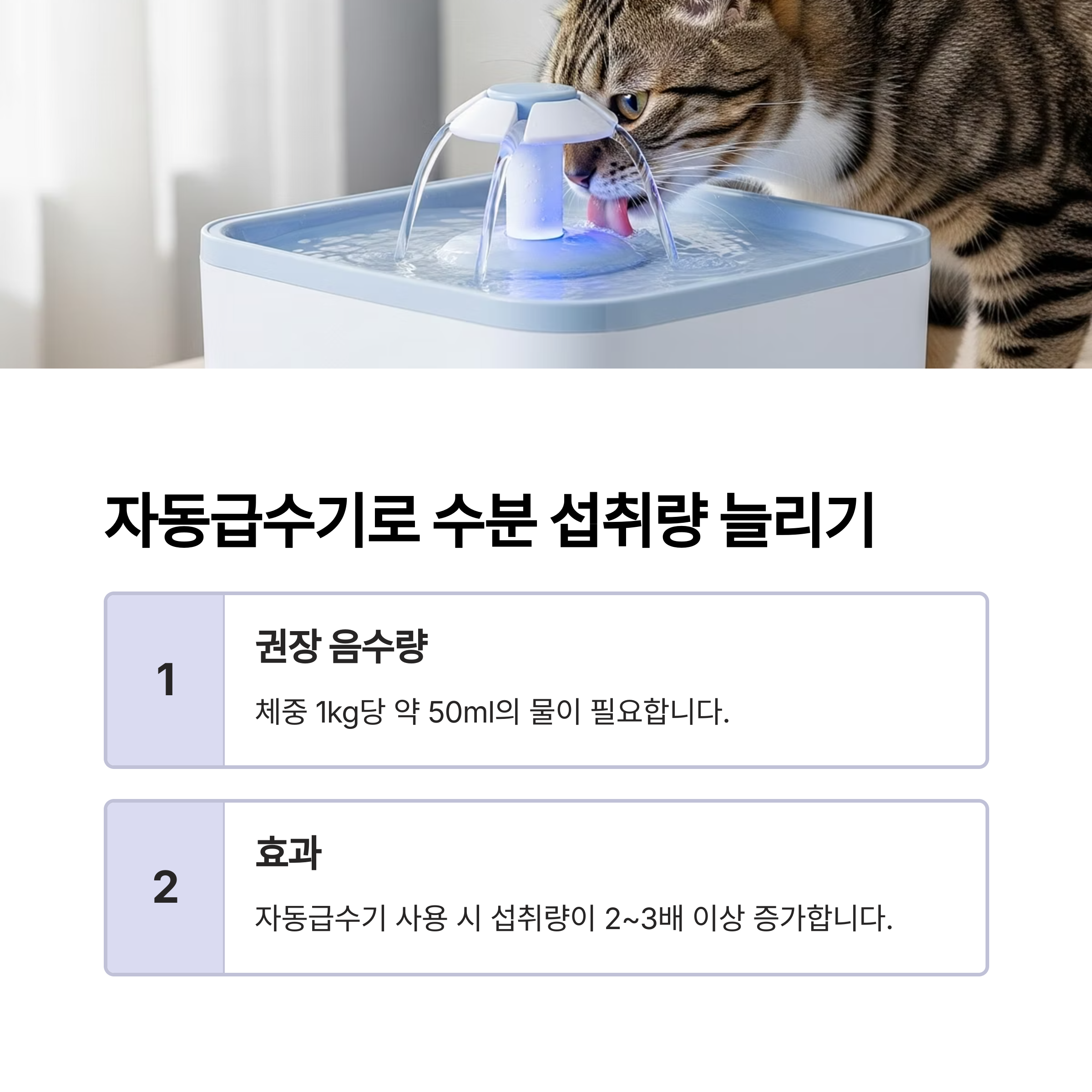 자동급수기로 수분 섭취량 늘리기