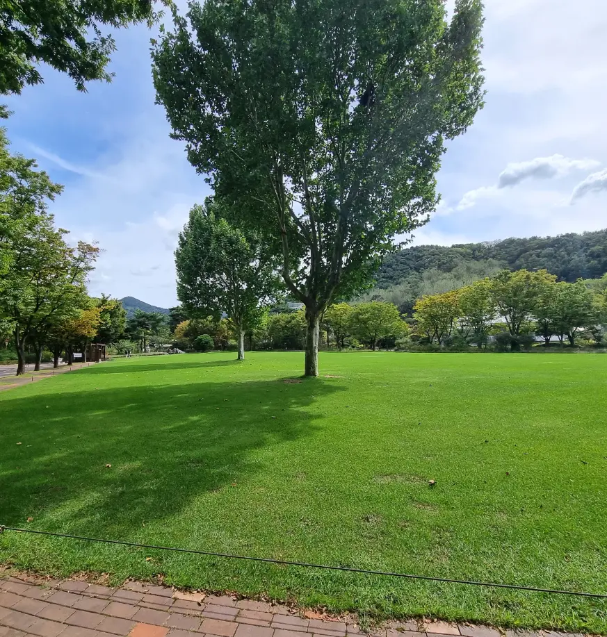 잔디광장