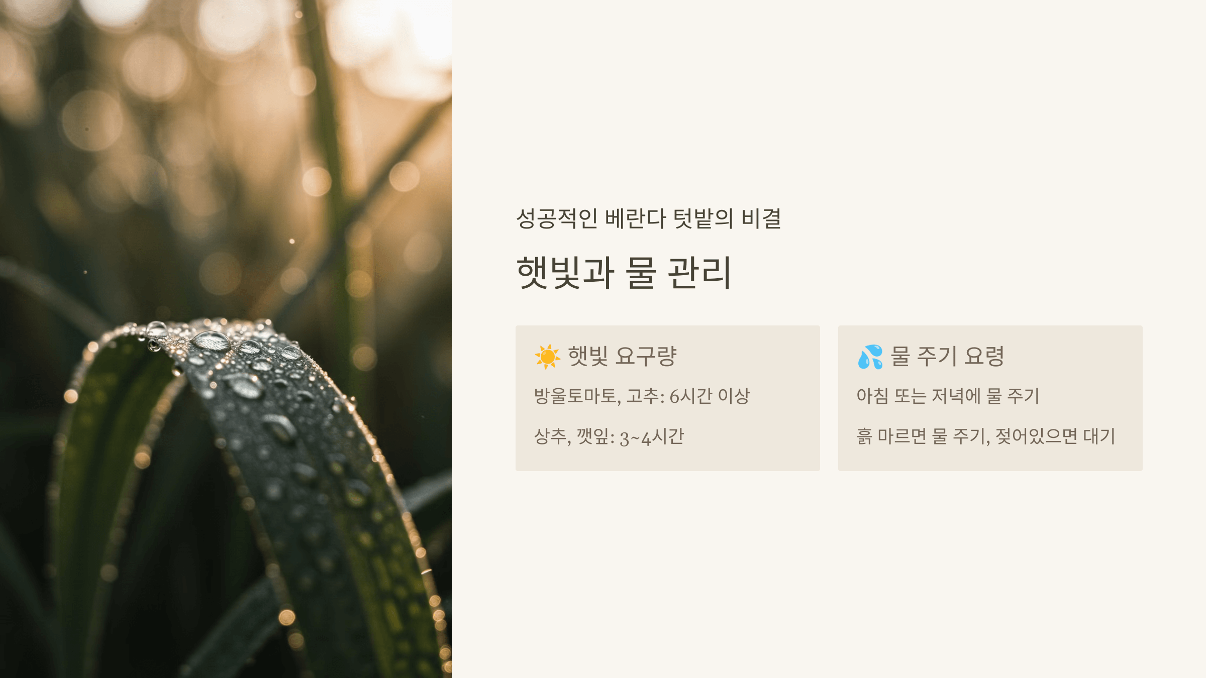 베란다 텃밭, 햇빛과 물 주기