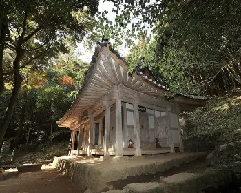 강진 반값 여행_6
