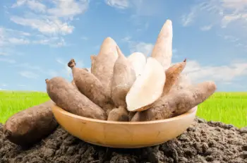 야콘 효능 및 영양성분, 먹는 방법