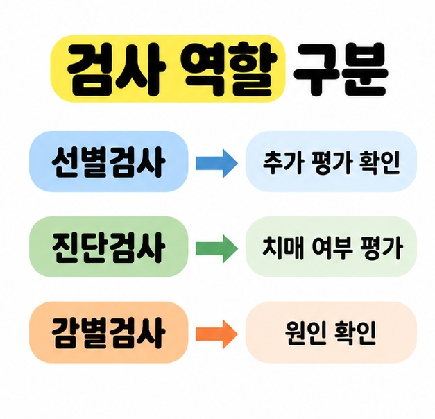 선별검사는 추가 평가 확인, 진단검사는 치매 여부 평가, 감별검사는 원인 확인으로 연결한 검사 역할 비교