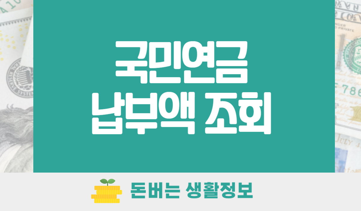국민연금 납부액 조회