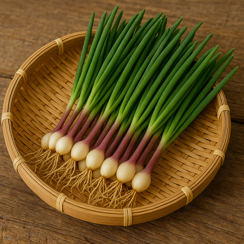 달래 효능