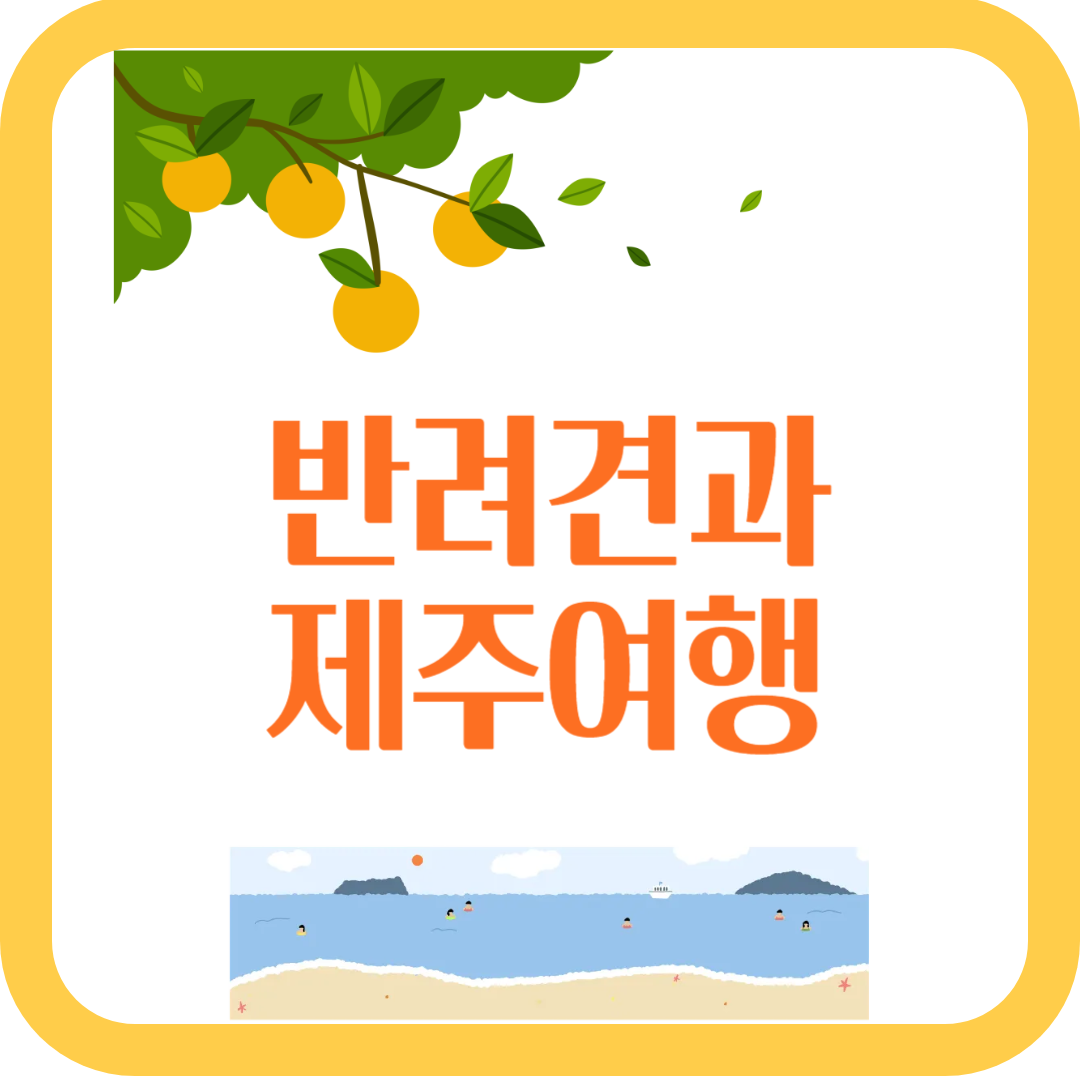 반려견과 제주여행, 펫팸족을 위한 완벽 가이드