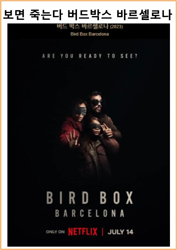 버드박스 바르셀로나