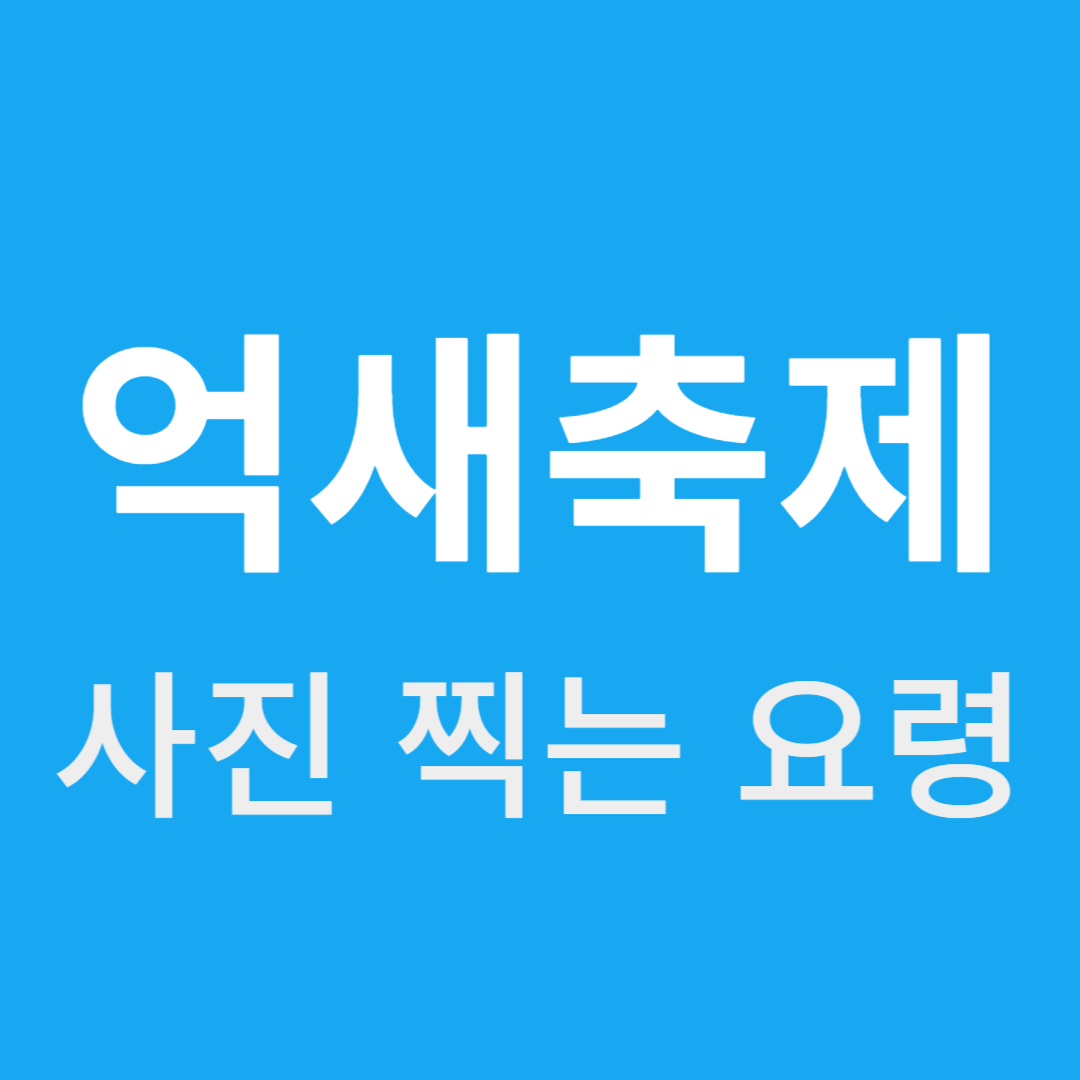 억새축제