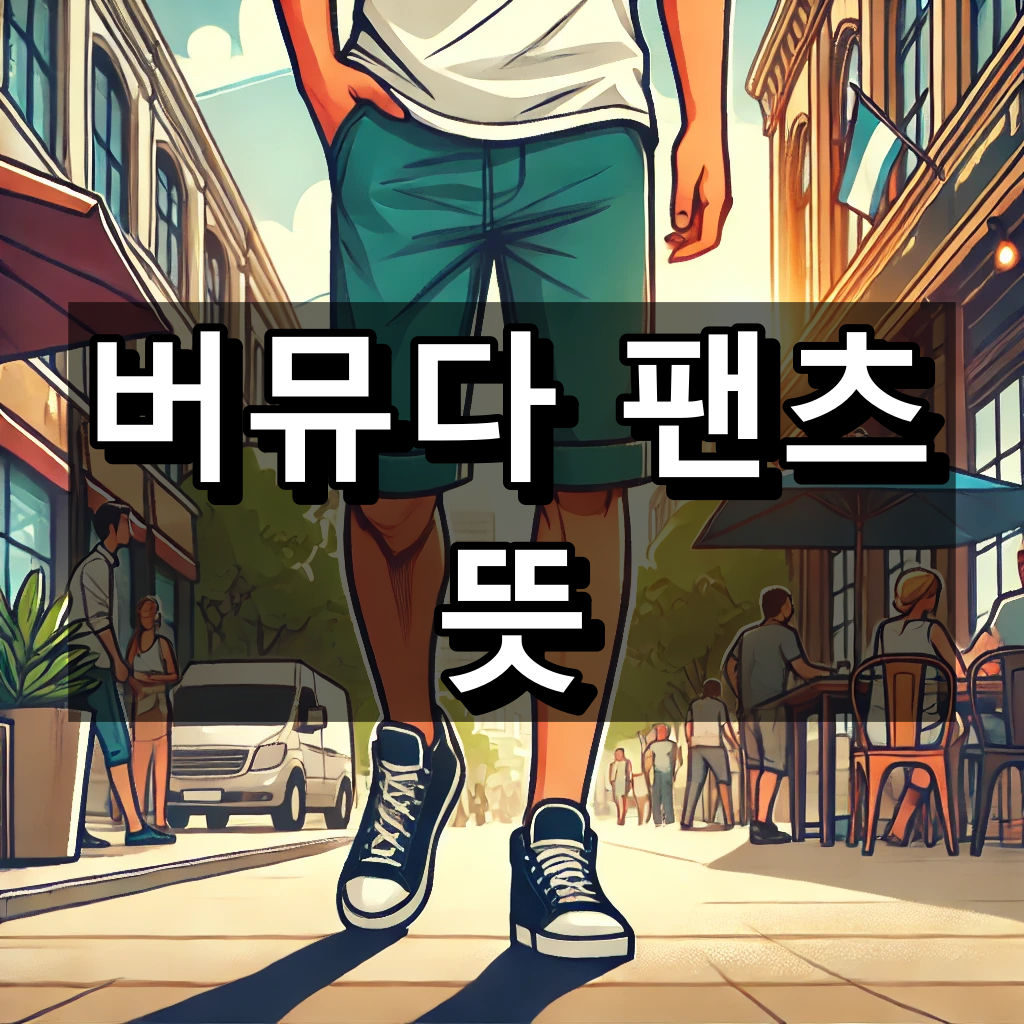 버뮤다 팬츠 뜻