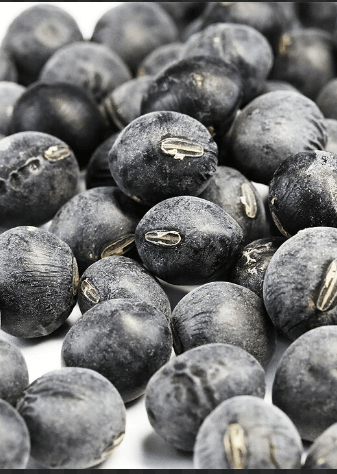 서리태 콩물 두유 만드는 방법과 콩자반 만들기