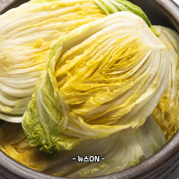 백김치 맛있게 담는법