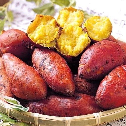 삶은 고구마 이미지 입니다.