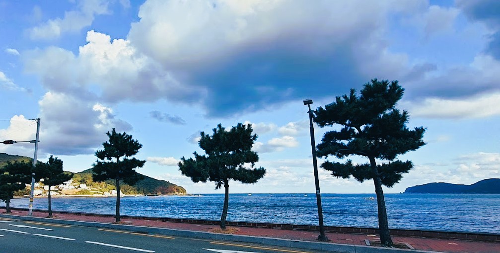 캠핑장전경
