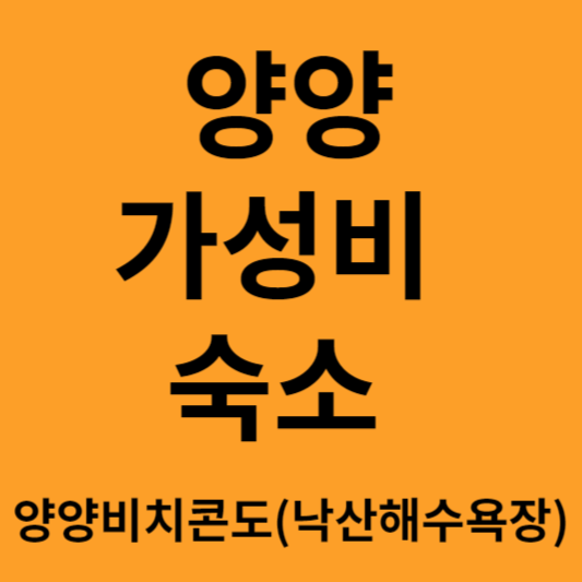 양양의 가성비 숙소