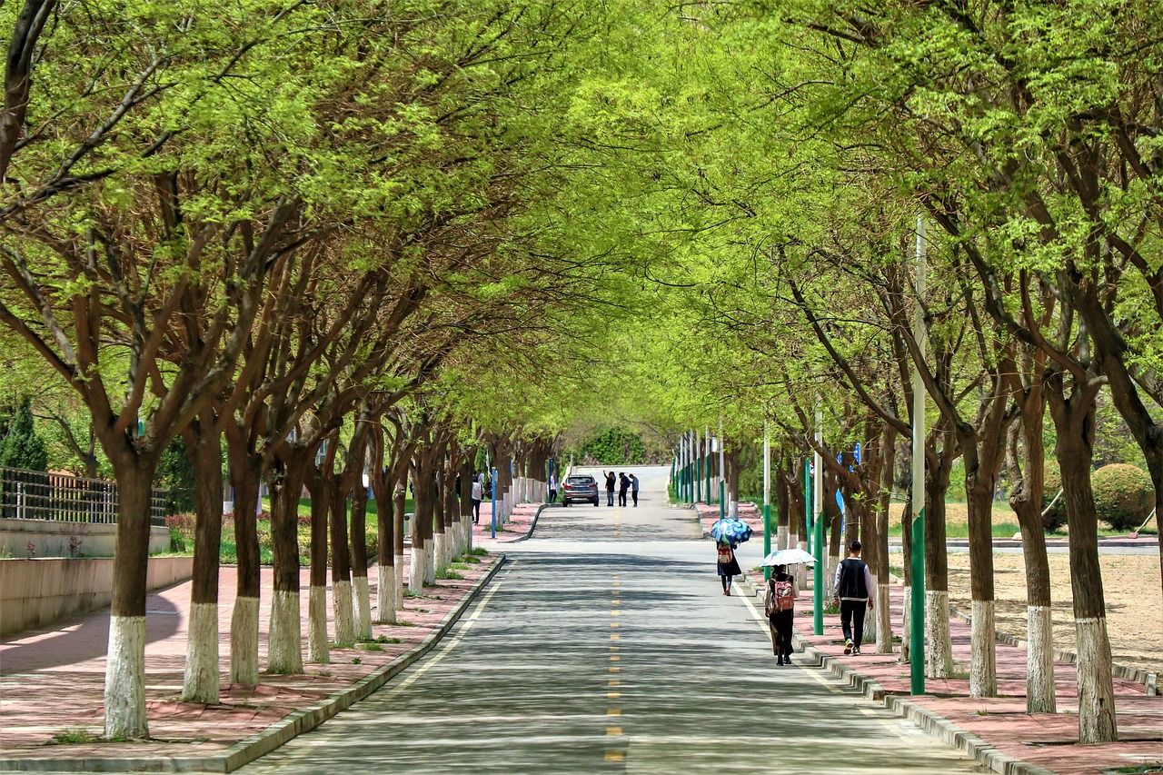 농어촌&middot;해양 쓰레기 대청소&amp;#44; 깨끗한 국토 만들기 프로젝트-2026년 예산안