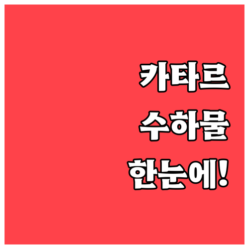 카타르항공 운임별 위탁수하물 차이 한..
