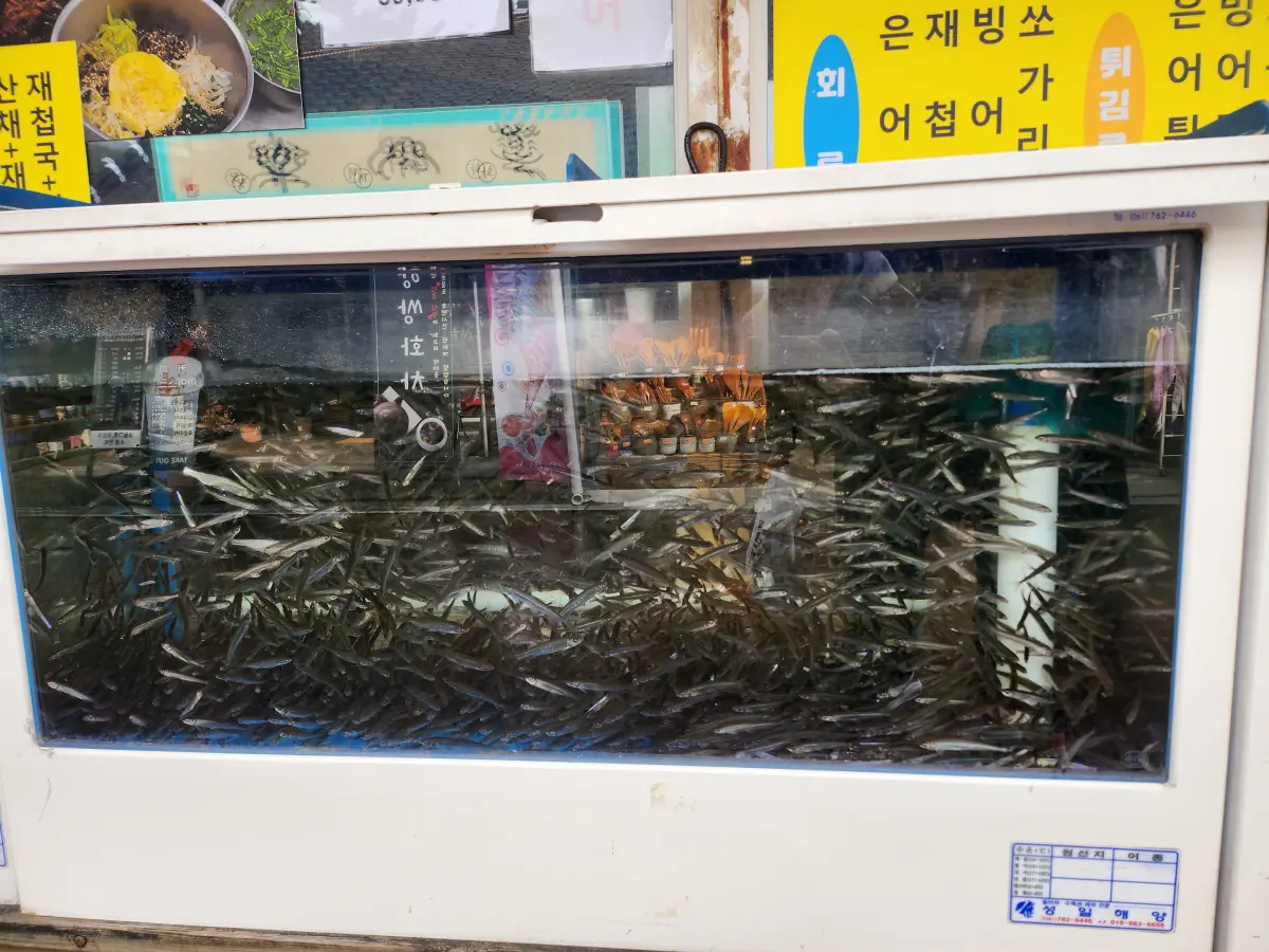 하동-화개장터-은어