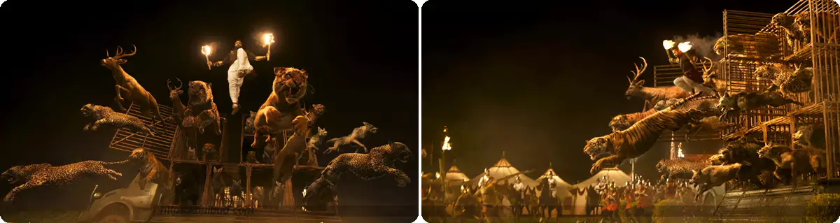 RRR_빔과 야생동물 사진