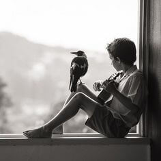 무릎에-새가-앉아있는-소년이-창틀에-앉아-기타를-는-모습을-담은-흑백사진