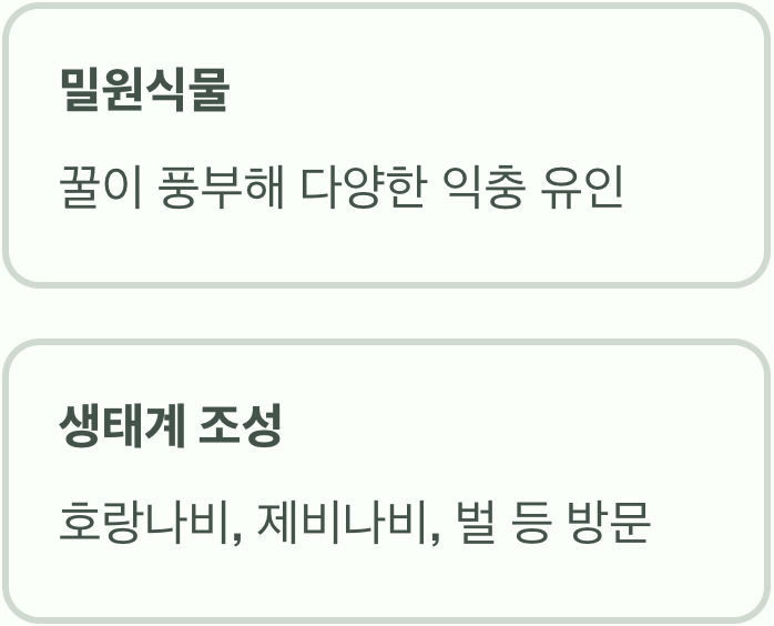 나비들의 레스토랑