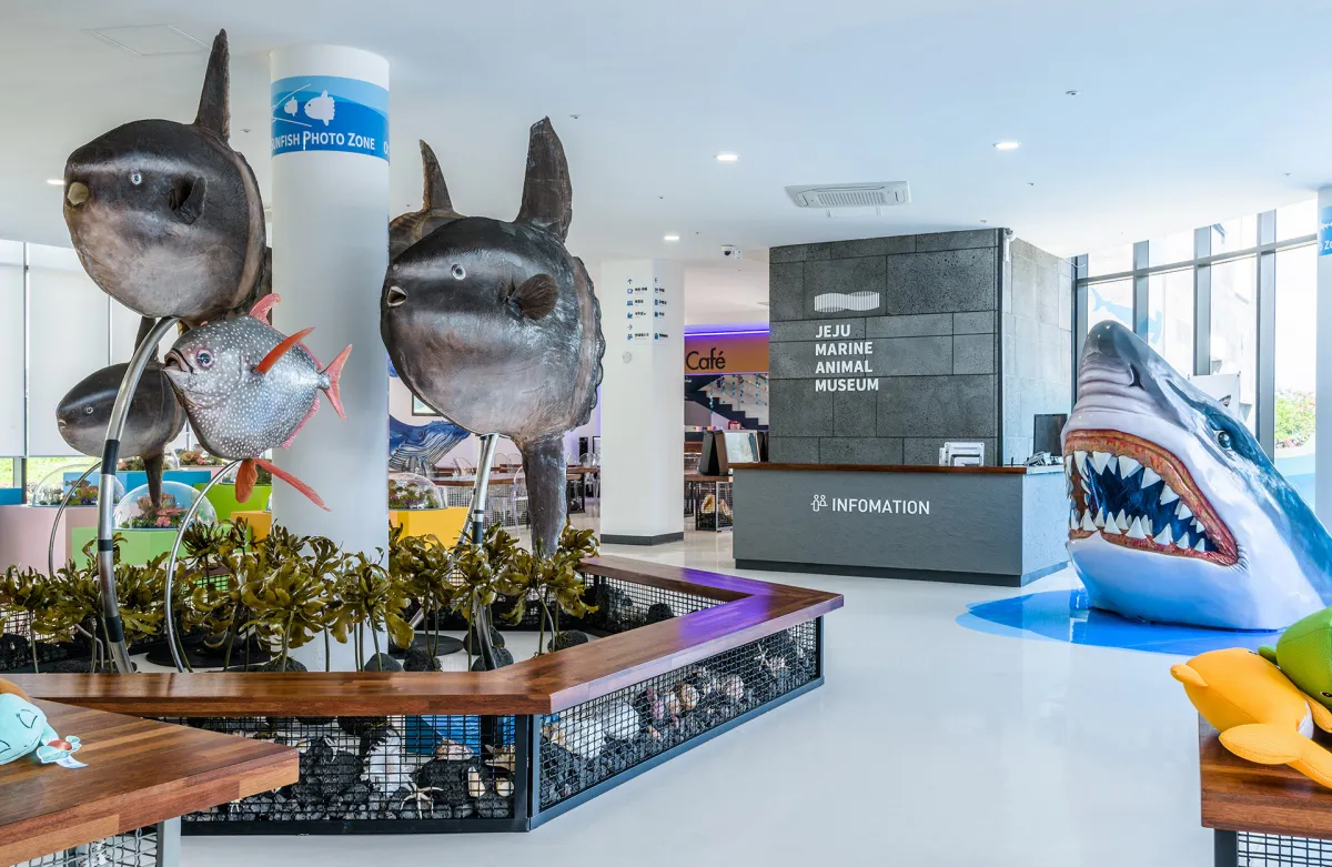 제주도-서쪽-여행-아이들과-가볼만한-곳-제주해양동물박물관-포토존