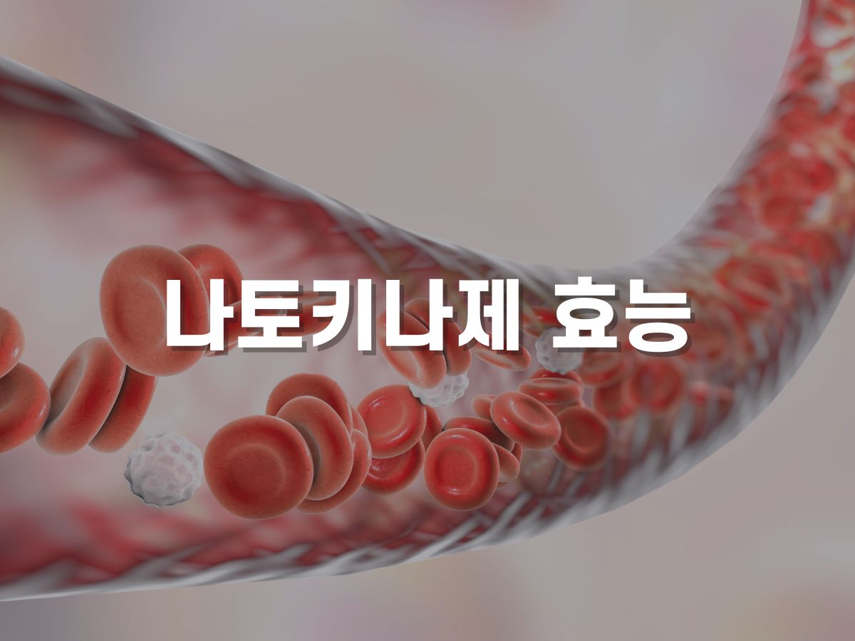 나토키나제 효능