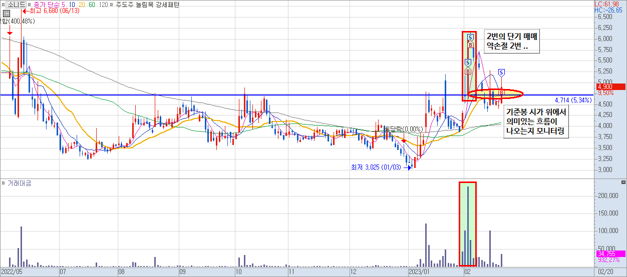 소니드 일봉 차트