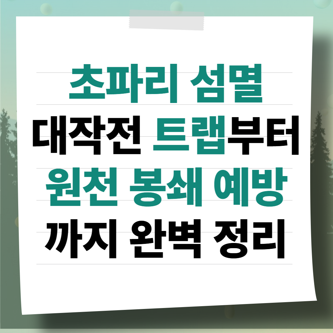 여름철 초파리 섬멸 대작전: 천연 트랩 만들기부터 원천 봉쇄 예방법까지 완벽 정리