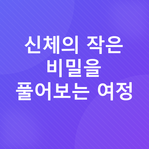 손발 차가움_1