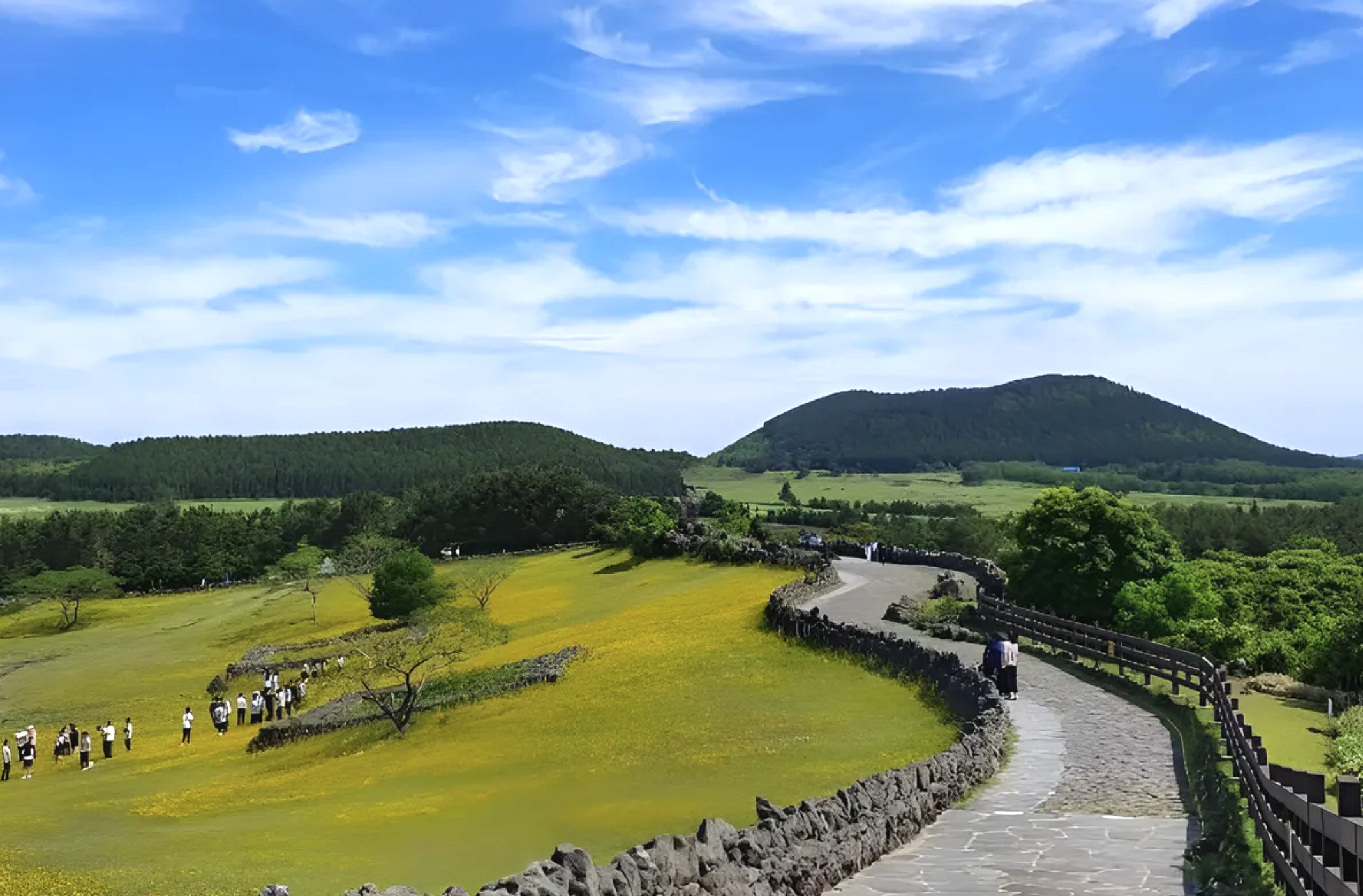 제주의 숨결이 고요히 내려앉은 곳, 산굼부리에서 마주한 사계의 얼굴