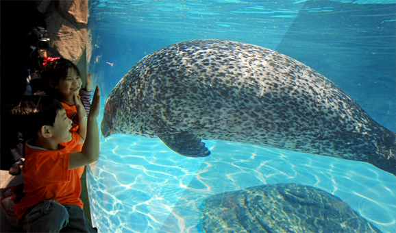 주말 아이랑 가기 좋은 곳 추천 - 서울 어린이대공원