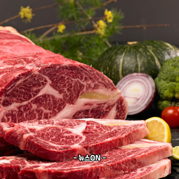 철분 많은 음식