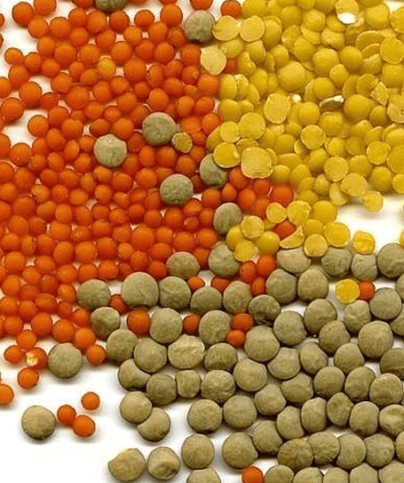 몸속-염증에-좋은-음식