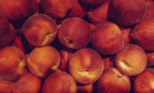 프리미엄 과일 신비복숭아, 맛과 효능을 한눈에!