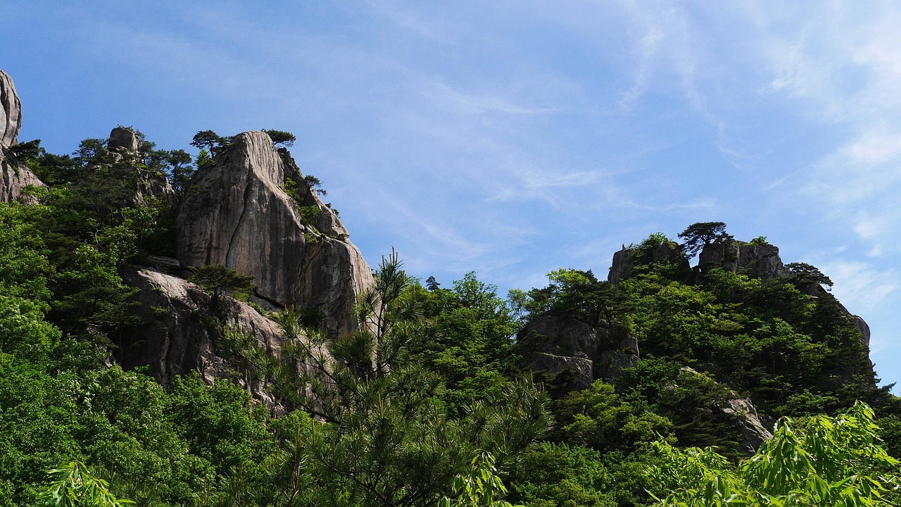 완주 송광사 뒤편 숲길 따라 사색의 한 걸음 관련 사진