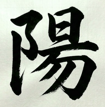 볕 양 한자