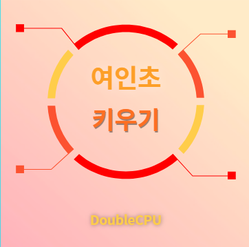 여인초 키우기