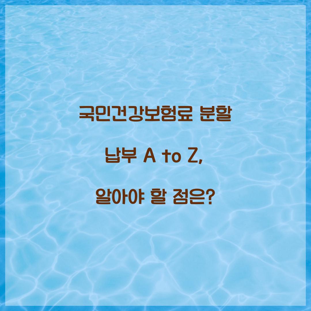 국민건강보험료 분할 납부