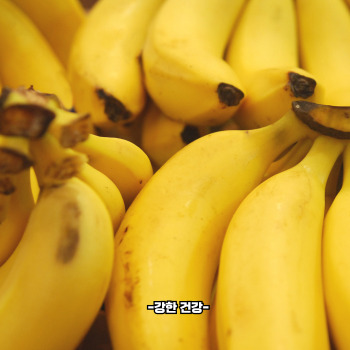 장염에 좋은 음식