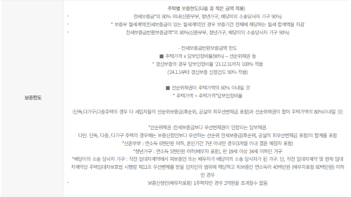 대출 한도 설명