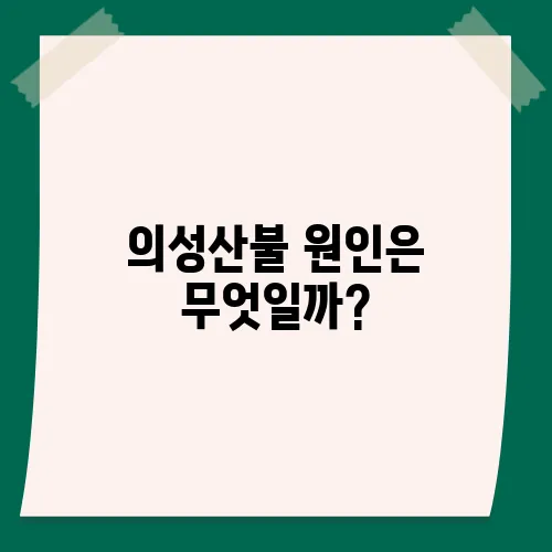의성산불 원인은 무엇일까?