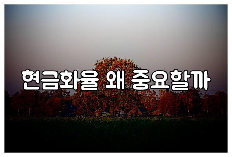 현금화율 왜 중요할까