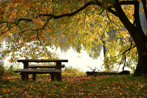 요양원 본인부담금 및 요양병원 본인부담금 (총정리) 2024