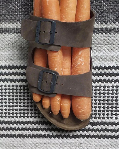 당근과 슬리퍼