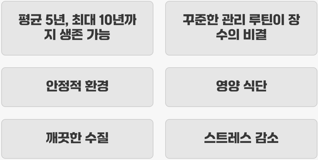 기대 수명과 장기적인 관리 비결