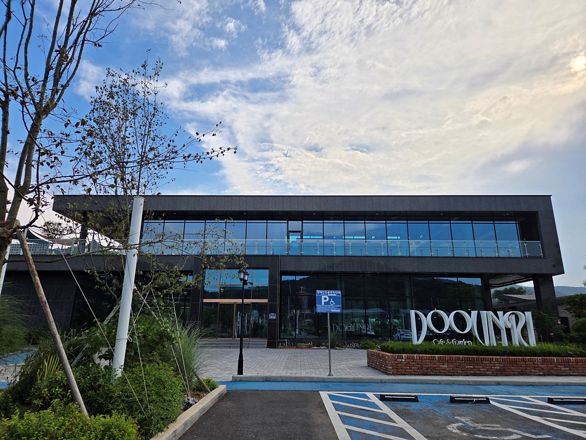 강화도 대형카페 두운리: 목수국, 온실 정원까지 맛과 분위기 모두 잡은 강화도 갈만한곳